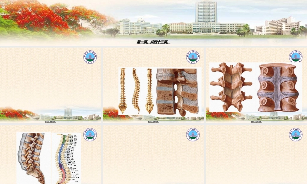 2022年医学专题—第六十八章腰腿痛及颈肩痛ppt-长江大学(1).ppt