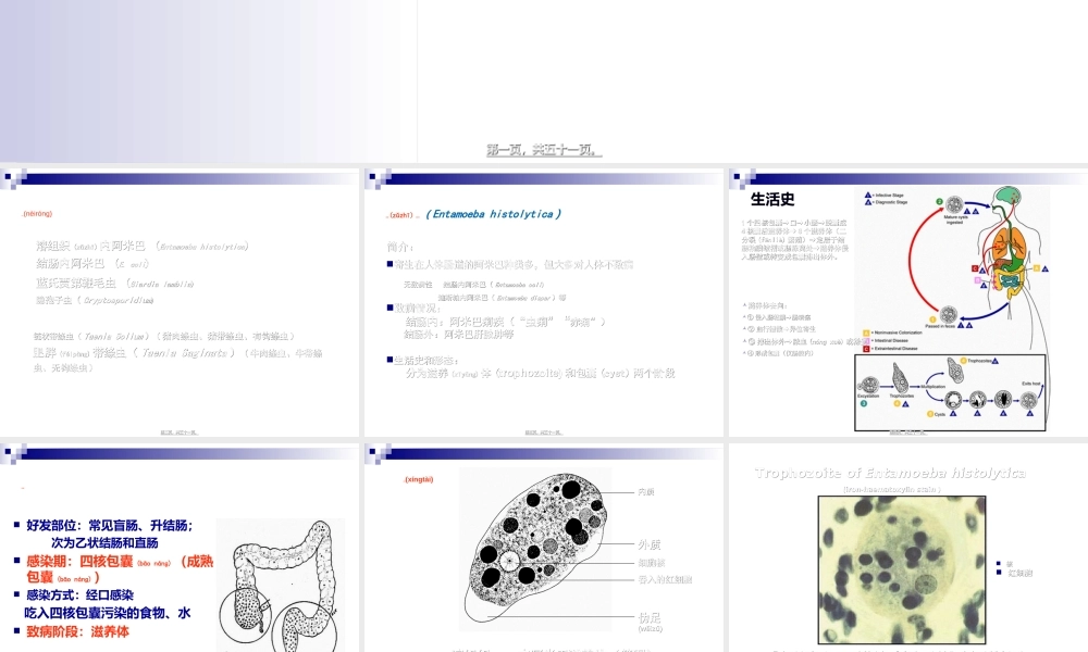 2022年医学专题—第六次形态消化道阿贾隐猪带牛带介绍(1).ppt