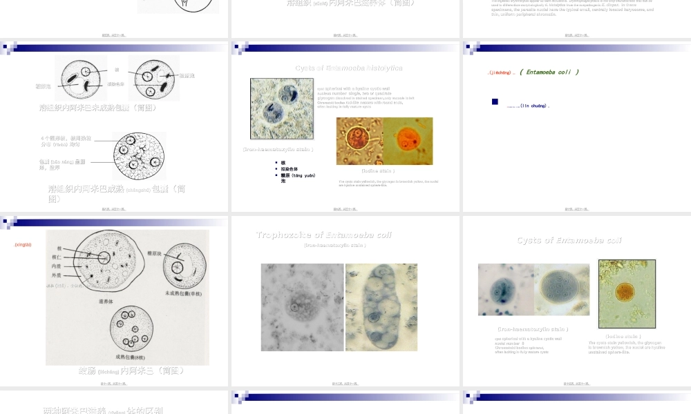 2022年医学专题—第六次形态消化道阿贾隐猪带牛带介绍(1).ppt
