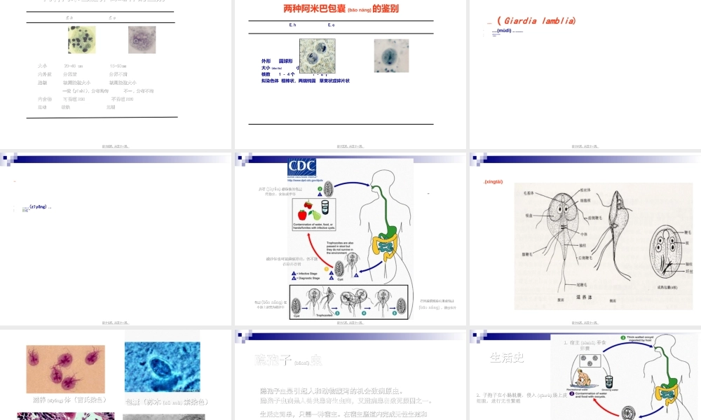 2022年医学专题—第六次形态消化道阿贾隐猪带牛带介绍(1).ppt