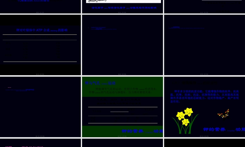 2022年医学专题—第六章--钾素营养和钾肥(1).ppt