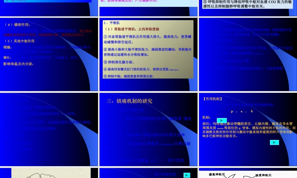 2022年医学专题—第十九章-镇痛药(analgesics)p172(1).ppt