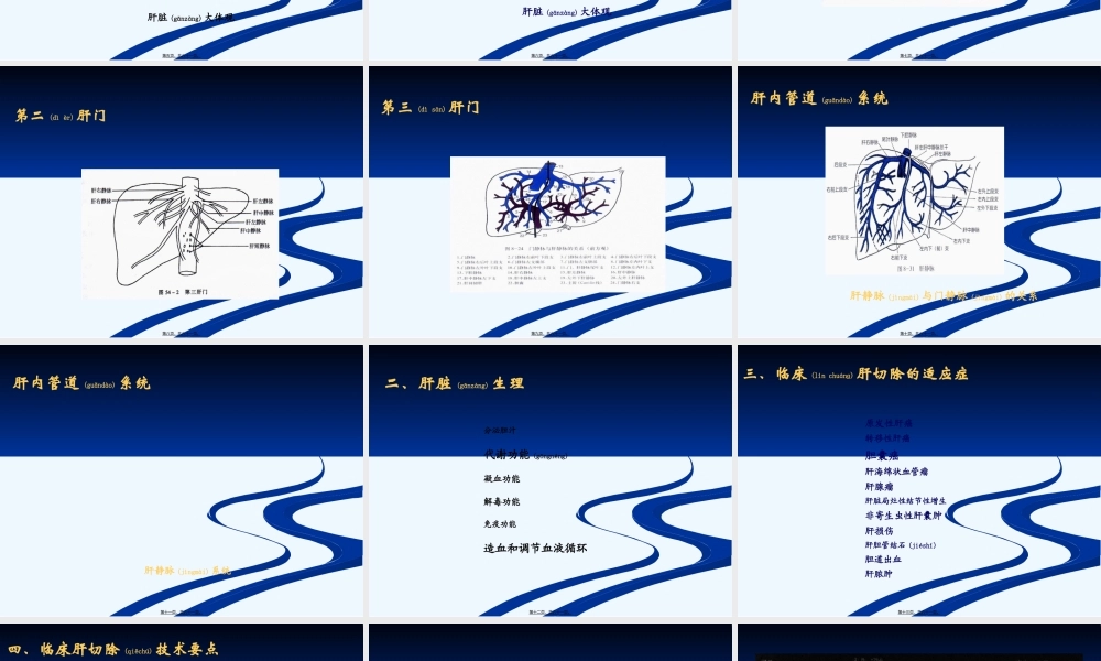 2022年医学专题—肝切除的并发症(1).ppt