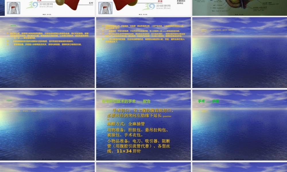 2022年医学专题—肝在上面借镰状韧带(1).ppt