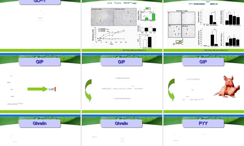 2022年医学专题—肠道激素在肥胖与糖尿病中的作用-金(1).ppt