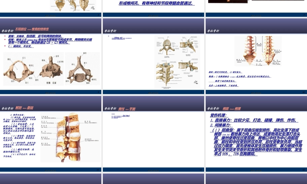 2022年医学专题—脊柱骨折(3)(1).ppt