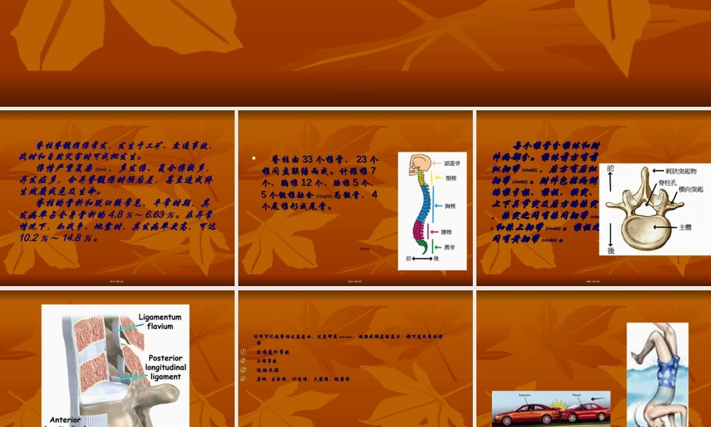 2022年医学专题—脊柱骨折脊髓损伤查房2003(1).ppt