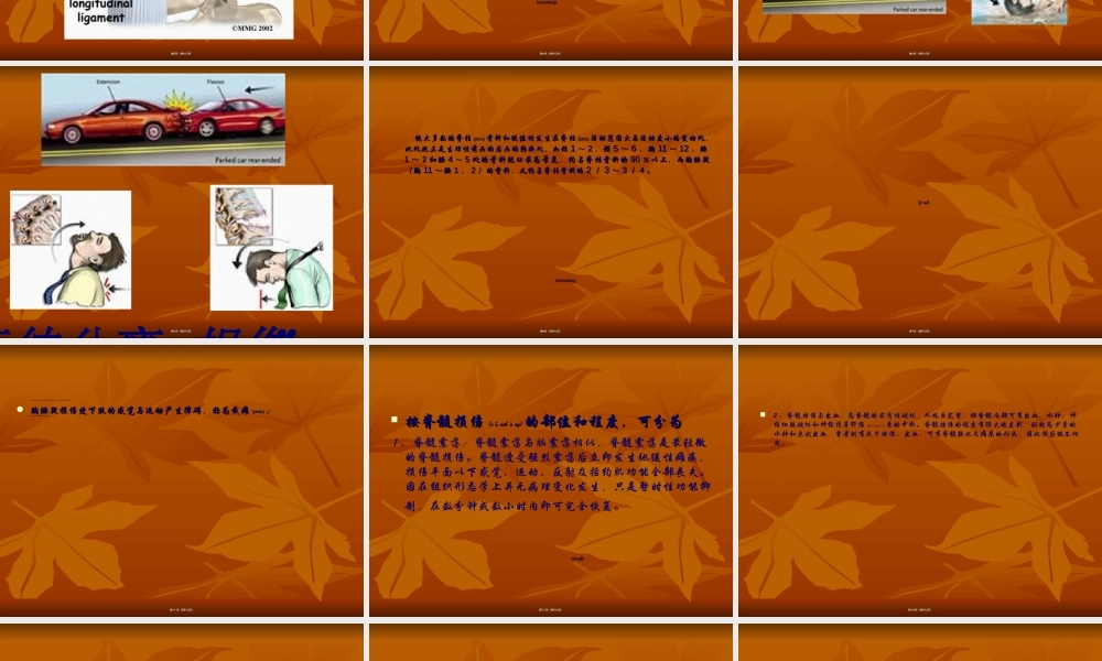 2022年医学专题—脊柱骨折脊髓损伤查房2003(1).ppt