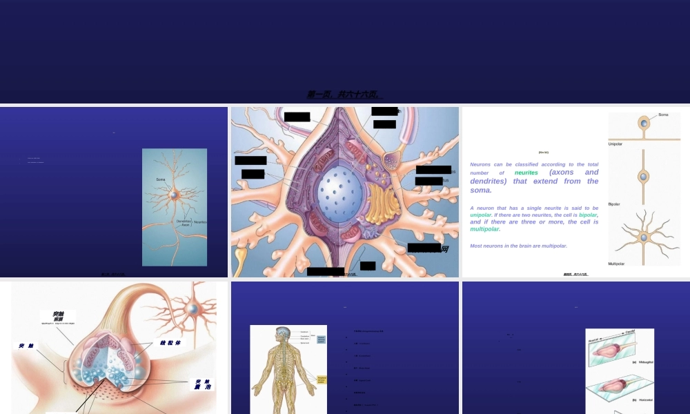 2022年医学专题—脑结构与认知(1).ppt
