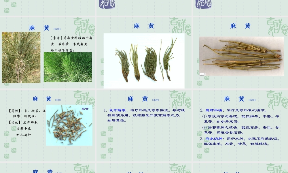 8.2.1解表药(1).ppt