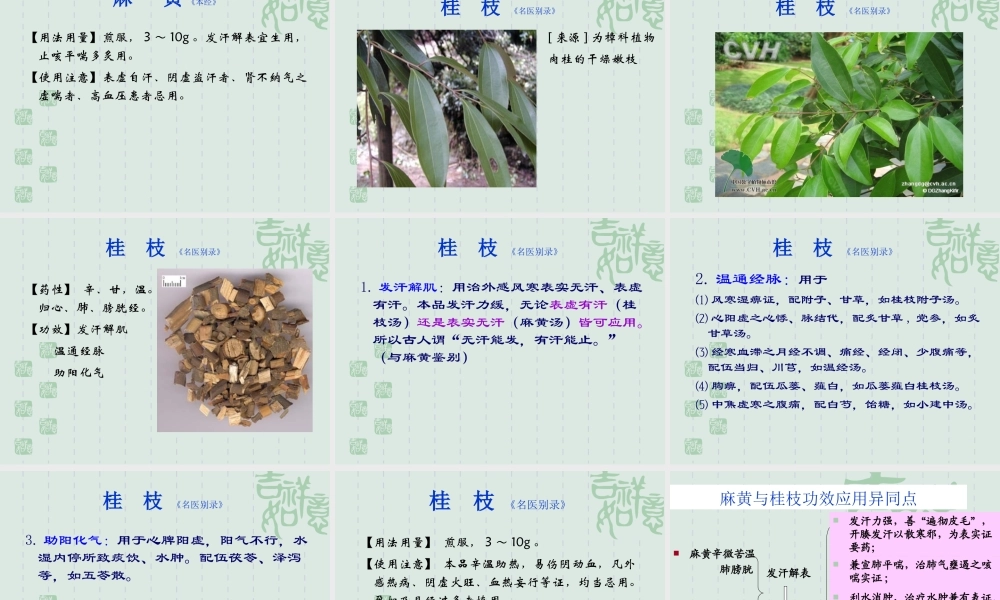 8.2.1解表药(1).ppt