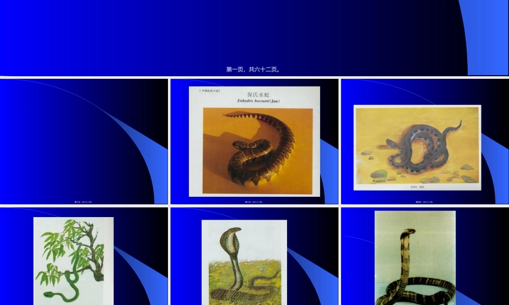 2022年医学专题—毒蛇咬伤的急救幻灯片(1).ppt