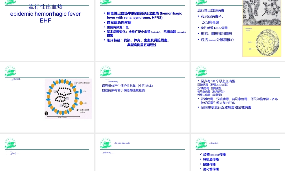 2022年医学专题—流行性出血热1(1).ppt
