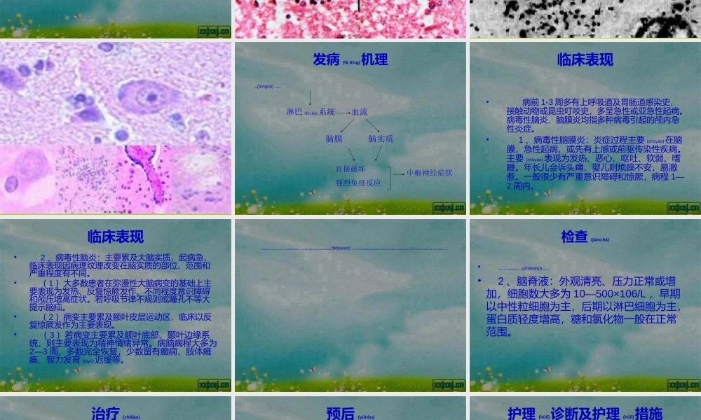 2022年医学专题—病脑(1).ppt