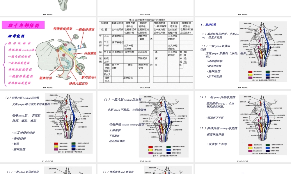2022年医学专题—脑干症状(1).ppt