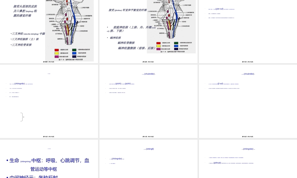 2022年医学专题—脑干症状(1).ppt