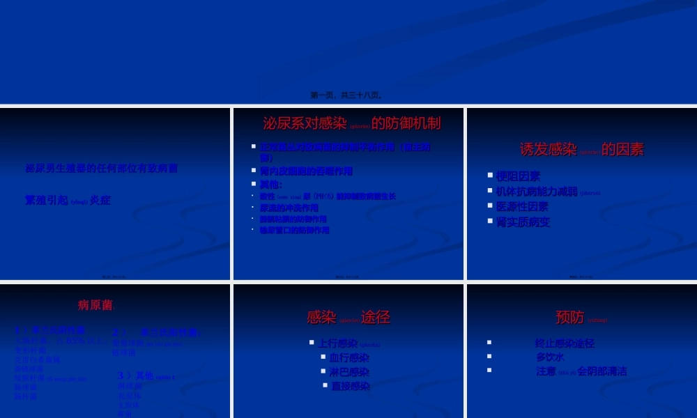 2022年医学专题—泌尿男生殖系感染(1).ppt