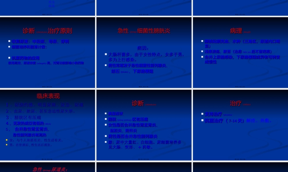 2022年医学专题—泌尿男生殖系感染(1).ppt