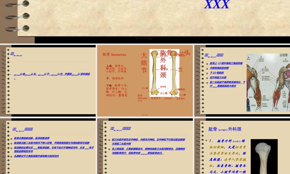 2022年医学专题—肱骨外科颈骨折病人(1).ppt