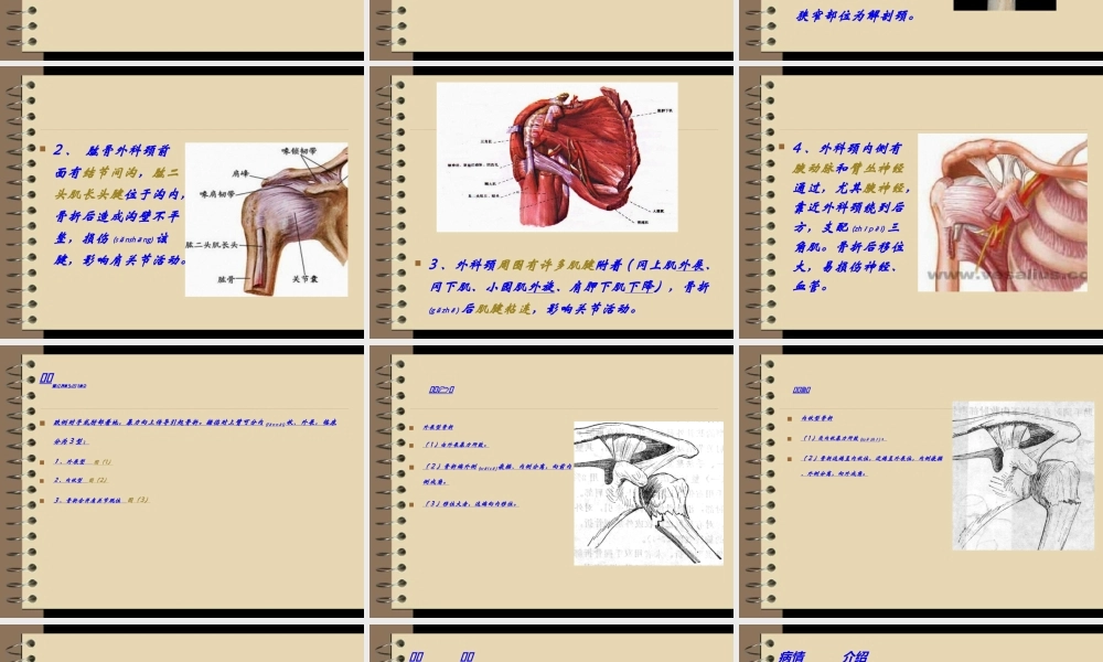 2022年医学专题—肱骨外科颈骨折病人(1).ppt