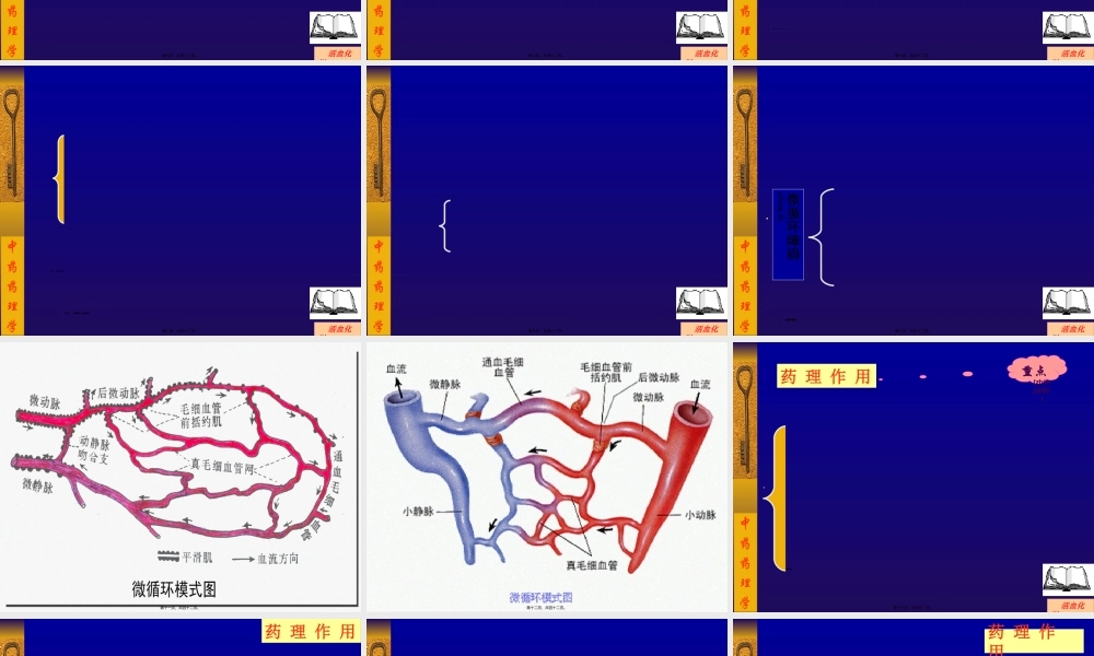 2022年医学专题—常用活血化瘀药-3(1).ppt