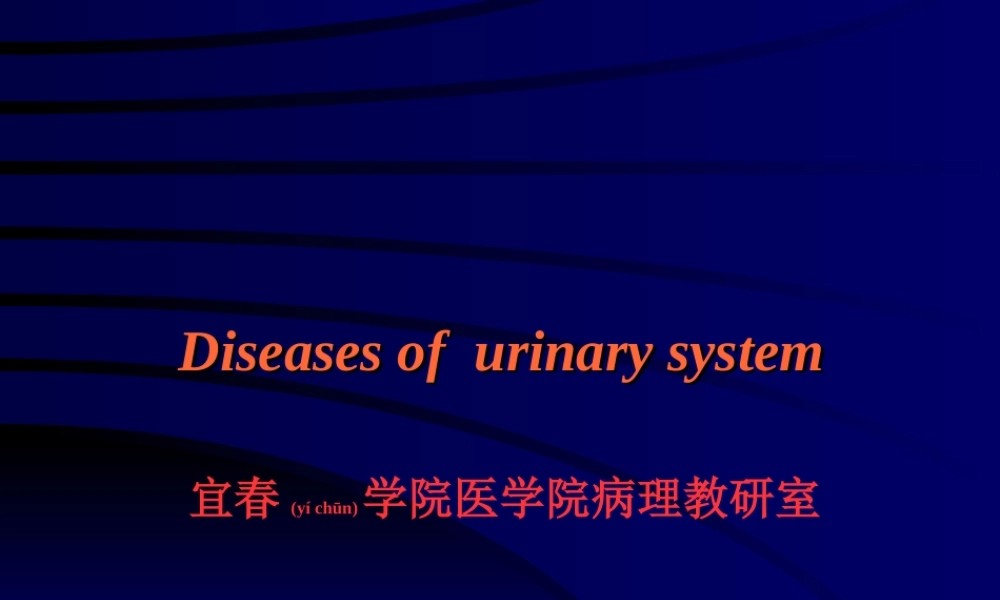 2022年医学专题—泌尿系统(本科)(1).ppt
