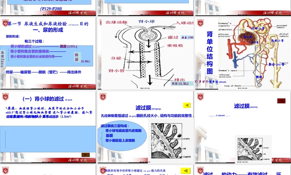2022年医学专题—第四章尿液标本采集和处理(1).ppt