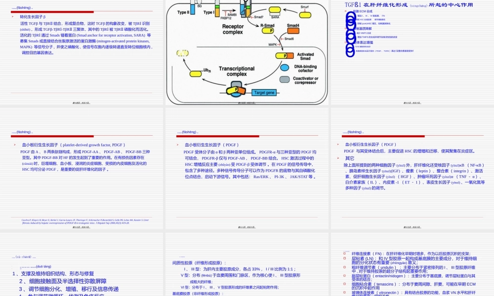 2022年医学专题—肝纤维化PPT(1).ppt