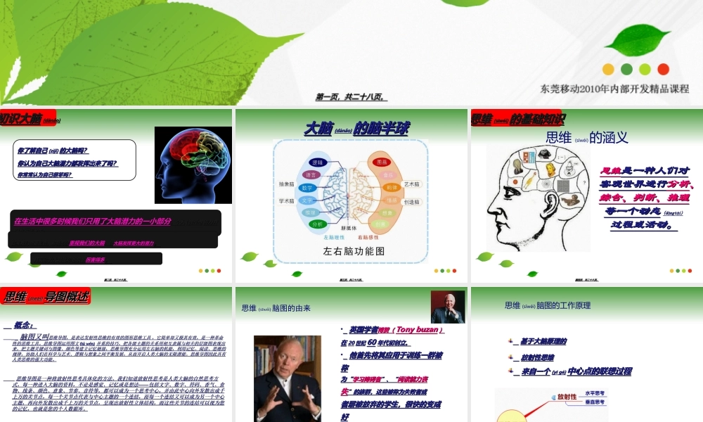 2022年医学专题—脑图介绍及原理(1).ppt