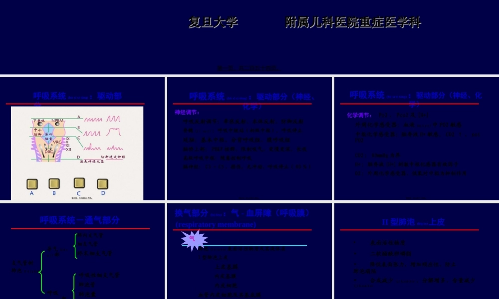 2022年医学专题—呼吸系统急重症(1).ppt