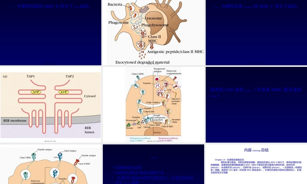 2022年医学专题—巨噬细胞的APC(1).ppt