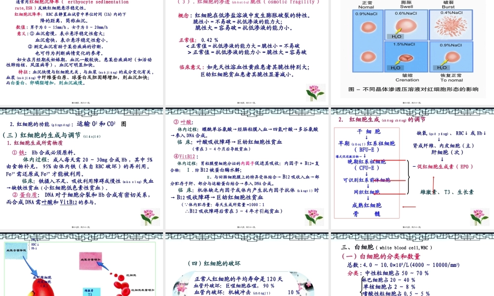 2022年医学专题—第三篇血液WBX(1).ppt