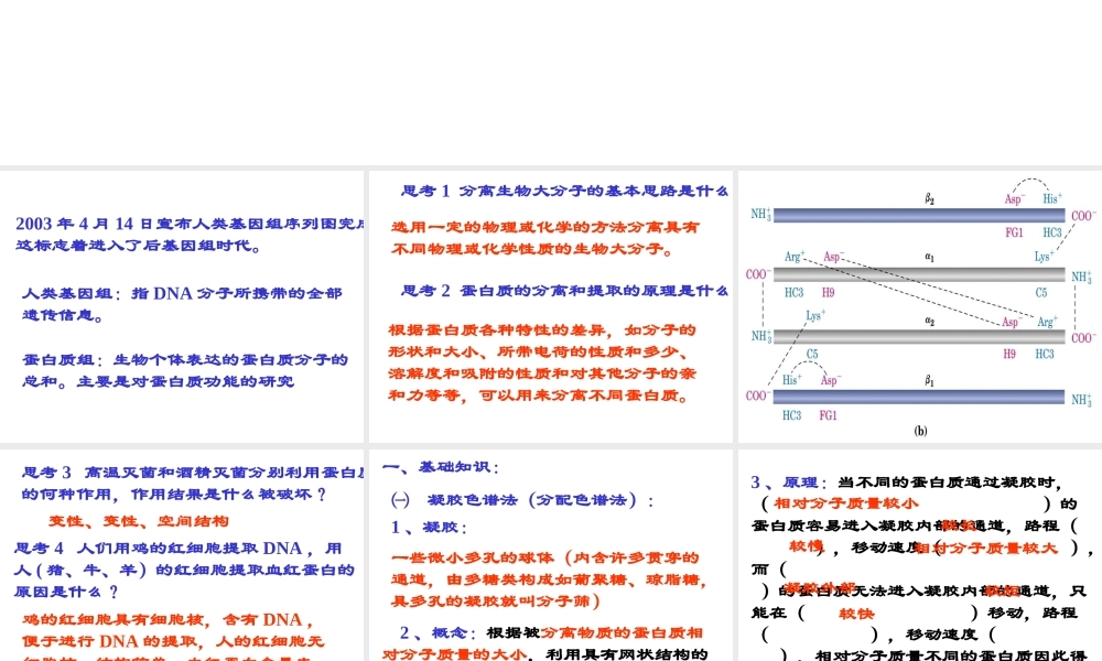 43血红蛋白提取(1).ppt