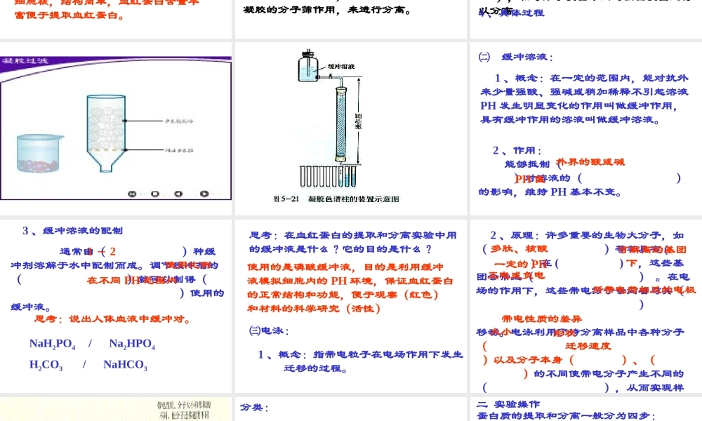 43血红蛋白提取(1).ppt