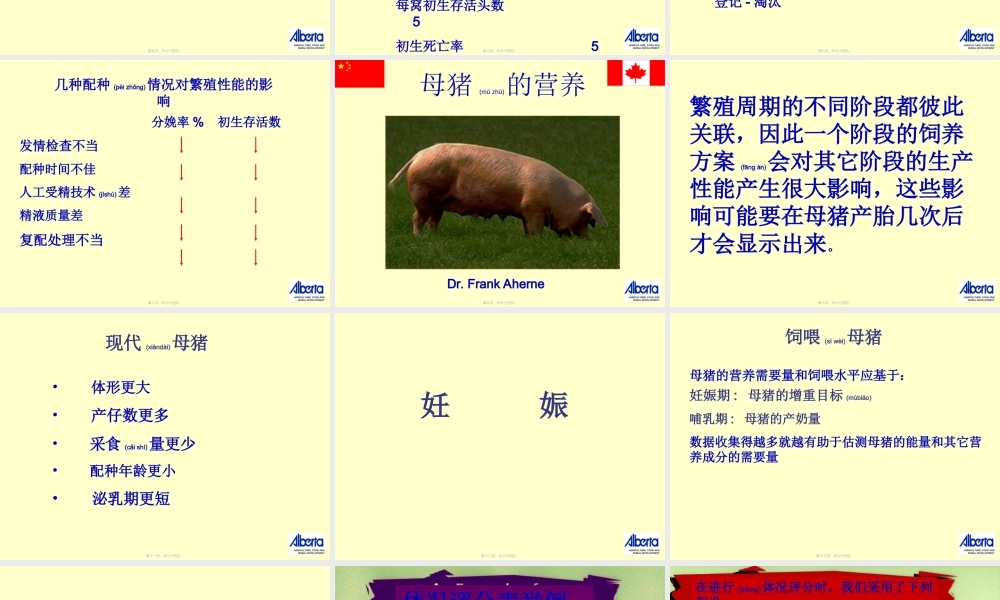 2022年医学专题—母猪的营养(1).ppt