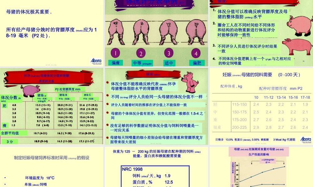 2022年医学专题—母猪的营养(1).ppt