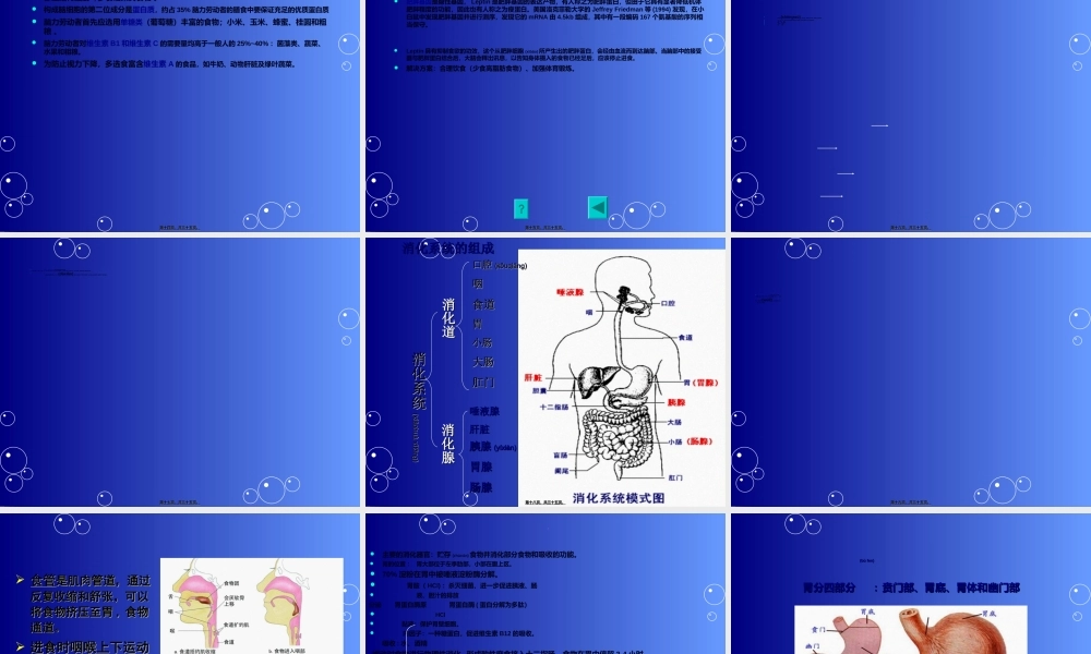 2022年医学专题—第6章.营养与消化(1).ppt