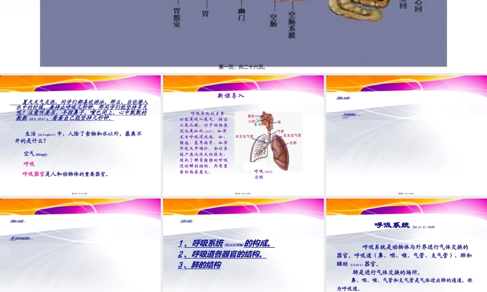 2022年医学专题—第一章第二节猪的内脏：呼吸系统(1).ppt