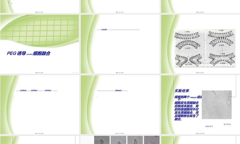 2022年医学专题—PEG诱导细胞融合(1).ppt