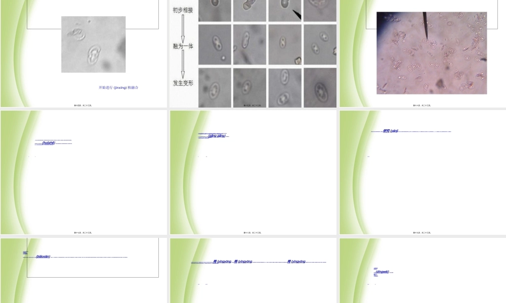 2022年医学专题—PEG诱导细胞融合(1).ppt