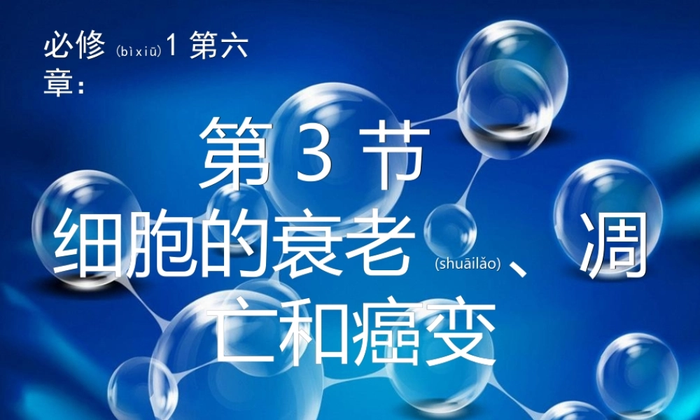 2022年医学专题—第三节-细胞的衰老和凋亡.ppt(1).ppt