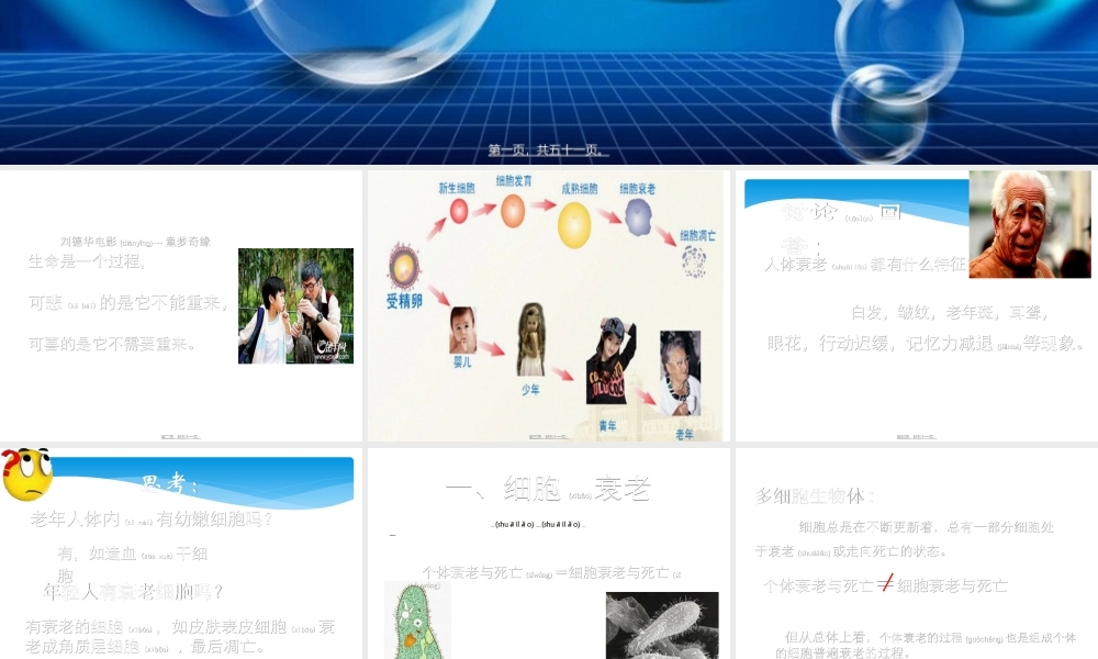 2022年医学专题—第三节-细胞的衰老和凋亡.ppt(1).ppt