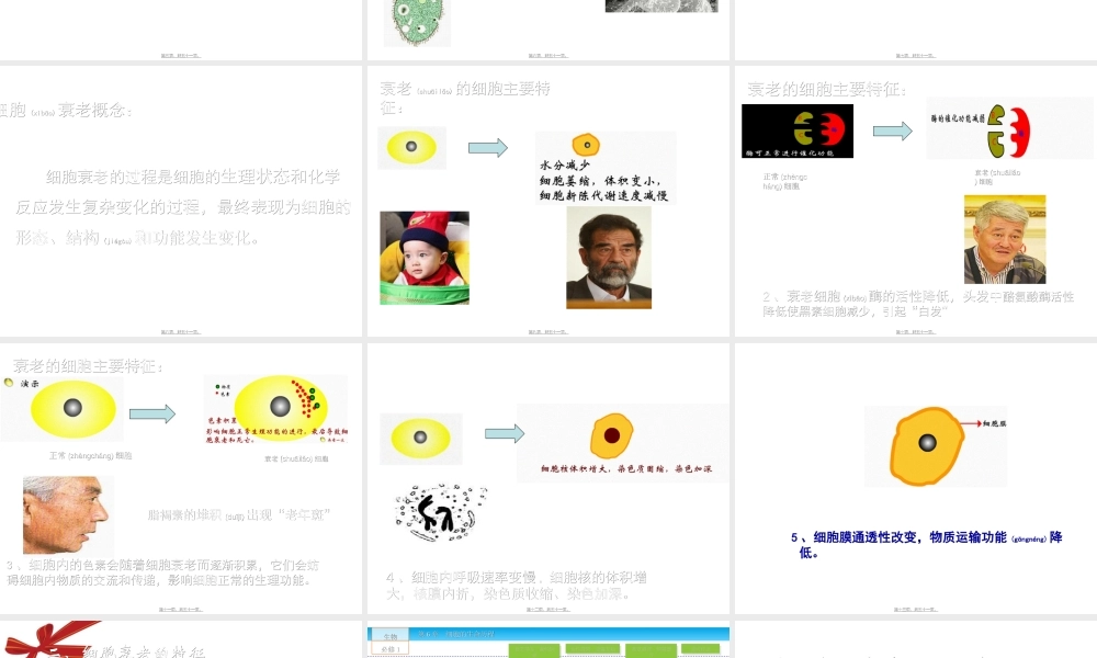 2022年医学专题—第三节-细胞的衰老和凋亡.ppt(1).ppt