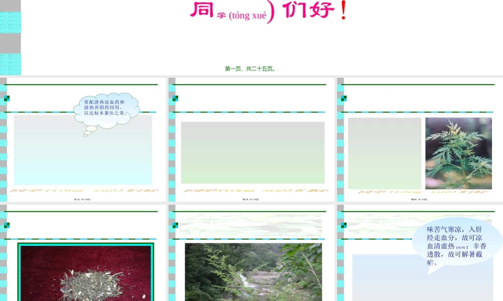 2022年医学专题—第五节--清虚热药(1).ppt