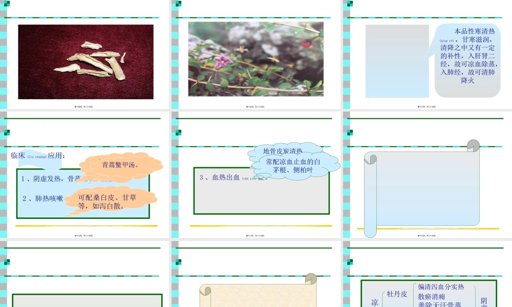 2022年医学专题—第五节--清虚热药(1).ppt