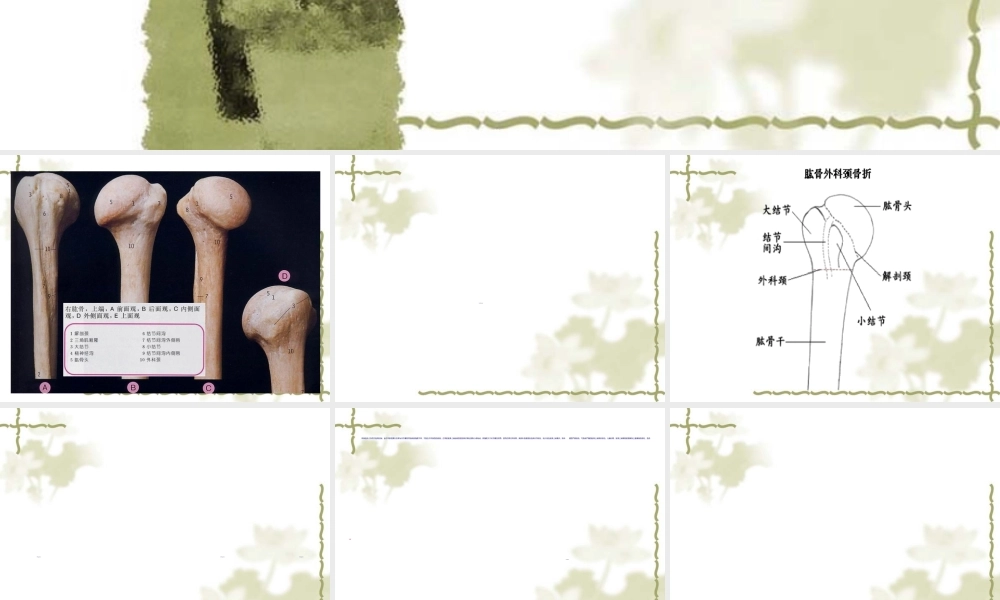 2022年医学专题—股骨外科颈骨折演示(1).ppt