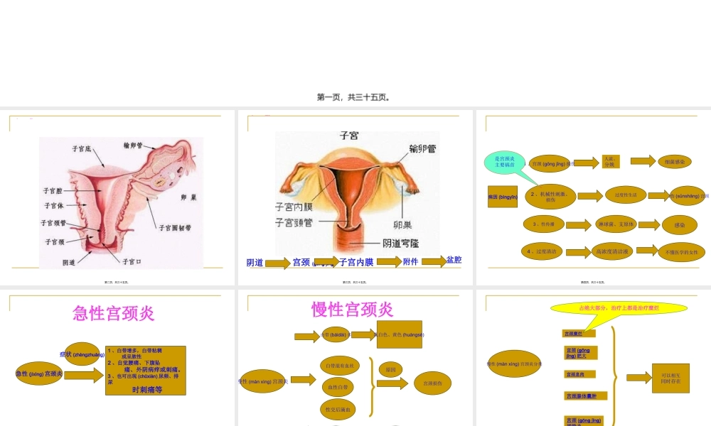 2022年医学专题—宫颈炎、附件炎、盆腔炎...(1).ppt