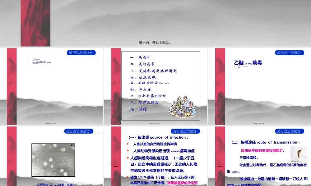 2022年医学专题—流行性乙脑讲课-wj(1).ppt