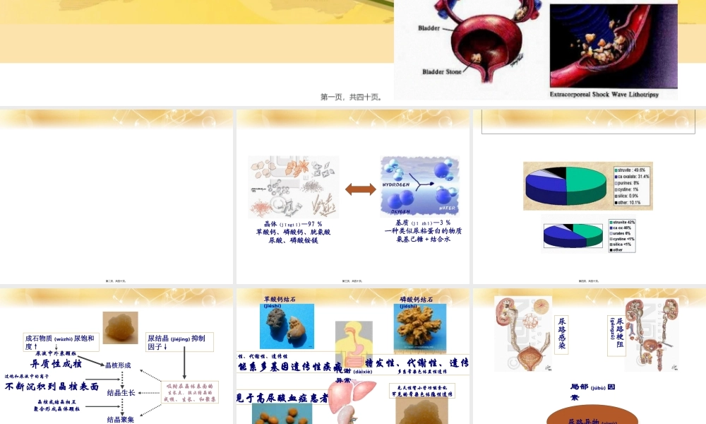 2022年医学专题—泌尿系结石(1).ppt