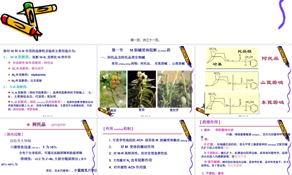 2022年医学专题—胆碱受体阻断药zhangyan(1).ppt